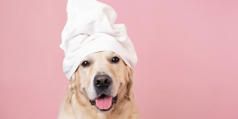 service_spa_min